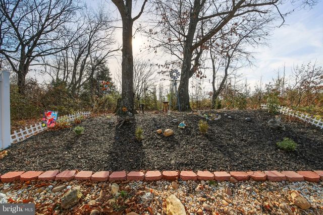 151 COLLEGE DR, Luray, VA 22835