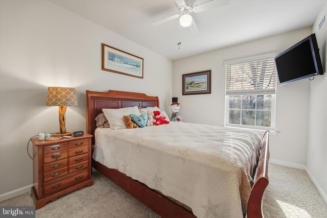 151 COLLEGE DR, Luray, VA 22835