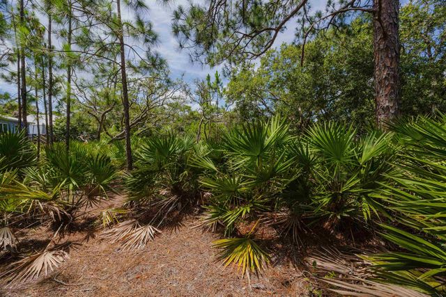 Micklers Rd, St Augustine, FL 32080