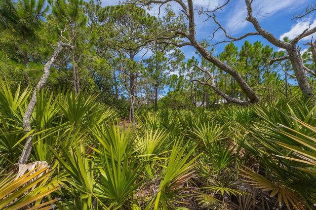 Micklers Rd, St Augustine, FL 32080