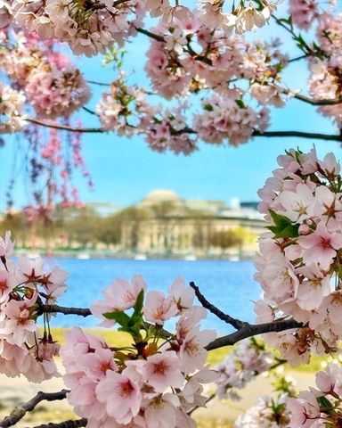 4 Charlesgate East 604, Boston, MA 02215