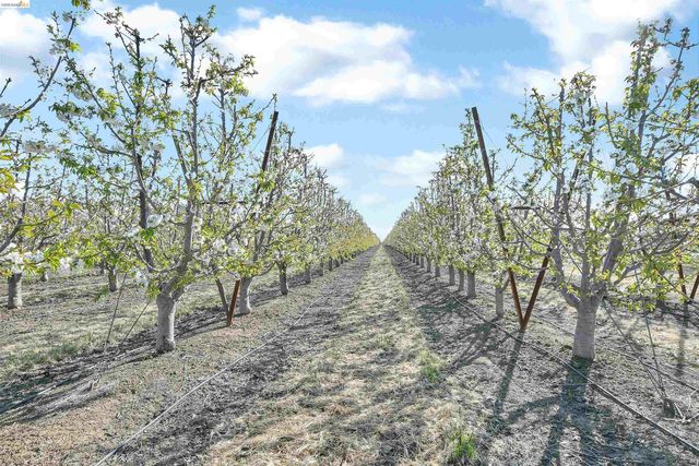 2650 Sellers Ave, Brentwood, CA 94513