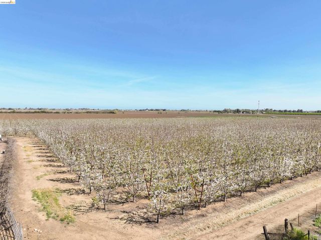 2650 Sellers Ave, Brentwood, CA 94513