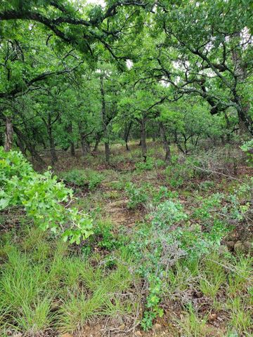 Lot 363 Sunset Lane, Sunset, TX 76270