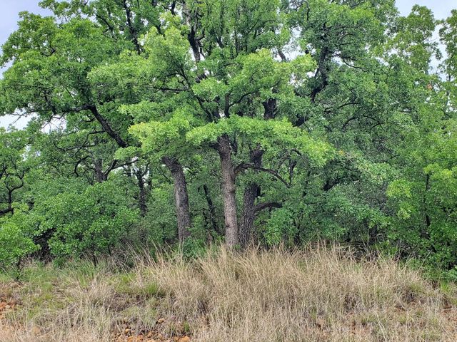 Lot 363 Sunset Lane, Sunset, TX 76270