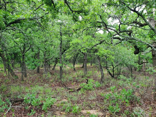 Lot 363 Sunset Lane, Sunset, TX 76270