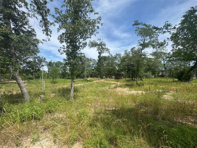 38056 S Bonnie Lake Drive, Hempstead, TX 77445