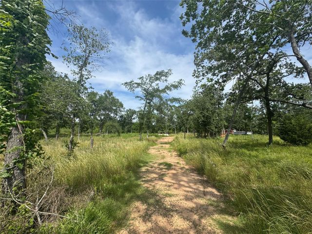 38056 S Bonnie Lake Drive, Hempstead, TX 77445