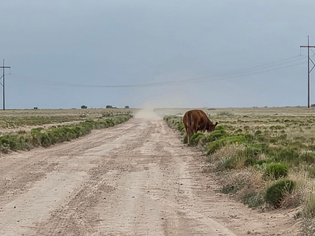 VL RRG Lot: 233 Unit 4 4, Socorro, NM 87801