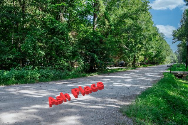 65 Ash Place, New Caney, TX 77357