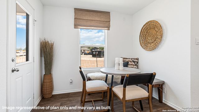 14812 Gold Lace Cactus, San Antonio, TX 78221