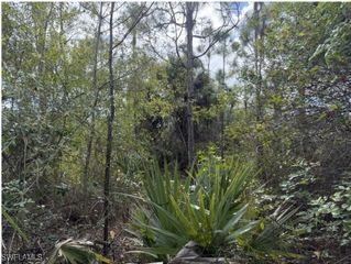 xxxx 52nd AVE NE, Naples, FL 34120