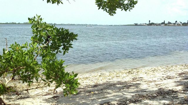 2101 SW TRAFALGAR PARKWAY, Cape Coral, FL 33991