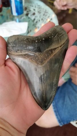 2101 SW TRAFALGAR PARKWAY, Cape Coral, FL 33991