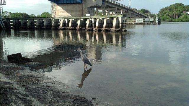 2101 SW TRAFALGAR PARKWAY, Cape Coral, FL 33991