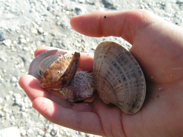 2101 SW TRAFALGAR PARKWAY, Cape Coral, FL 33991