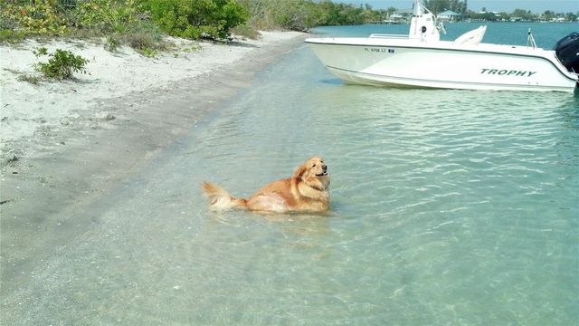 2101 SW TRAFALGAR PARKWAY, Cape Coral, FL 33991