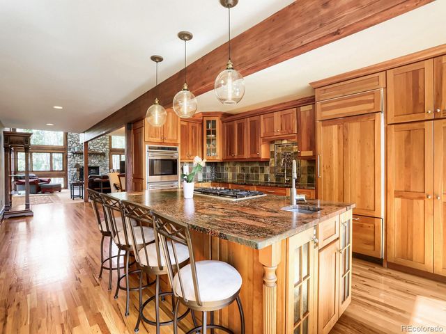 32142 Black Widow Drive, Conifer, CO 80433