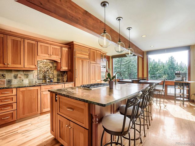 32142 Black Widow Drive, Conifer, CO 80433