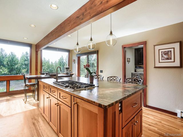 32142 Black Widow Drive, Conifer, CO 80433