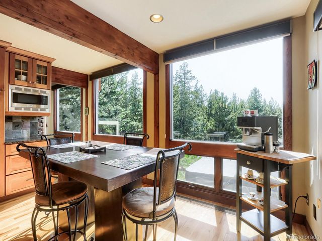 32142 Black Widow Drive, Conifer, CO 80433