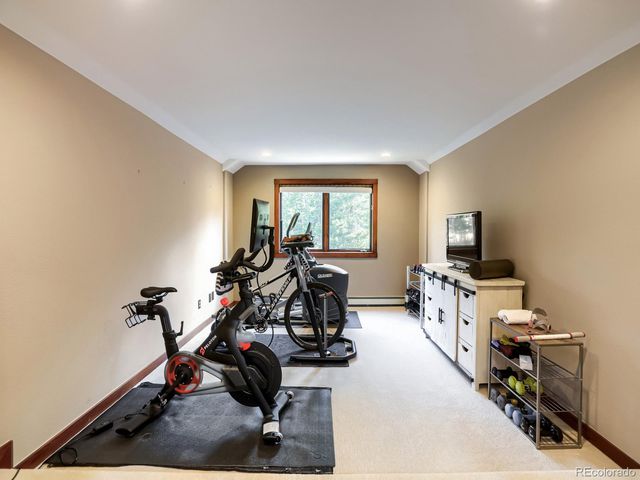 32142 Black Widow Drive, Conifer, CO 80433