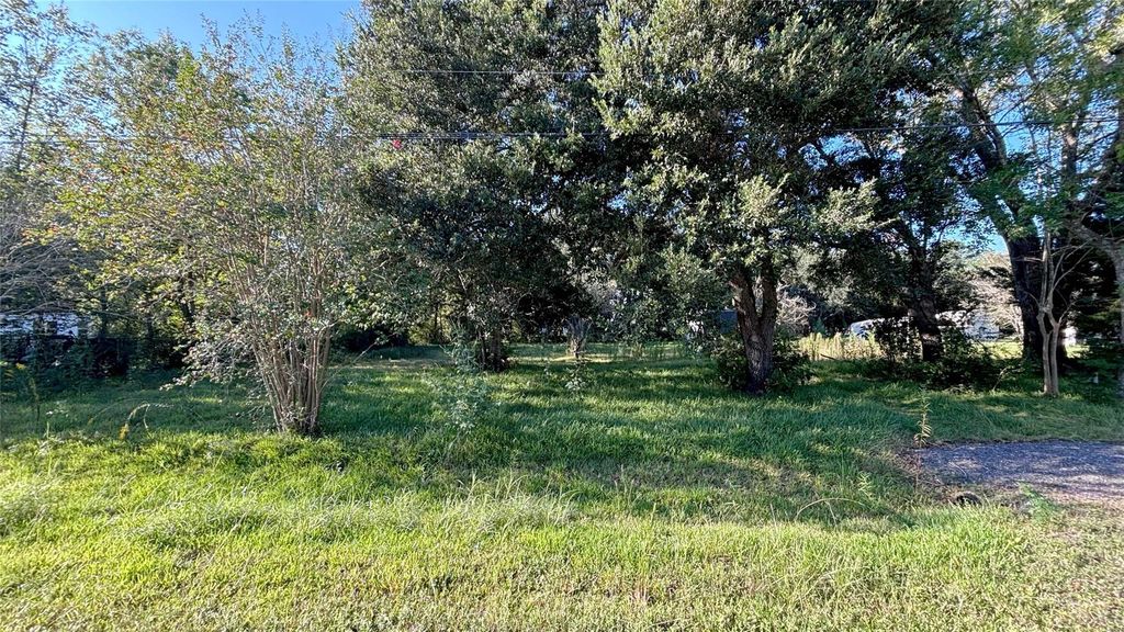 19101 Forest Street, Alvin, TX 77511
