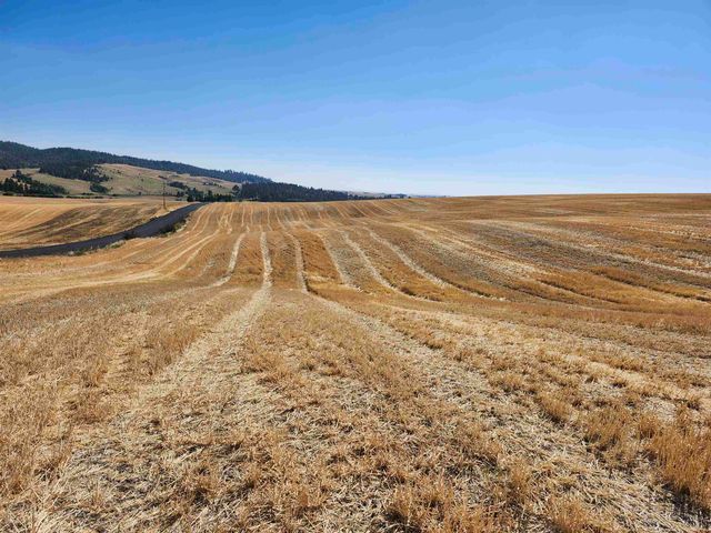 S 8006 Jackson Rd, Mica, WA 99023