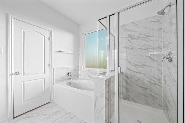 15719 Autumn Chicory Drive, Houston, TX 77044