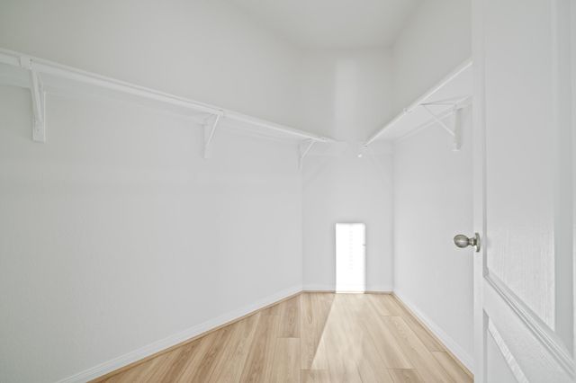 15719 Autumn Chicory Drive, Houston, TX 77044