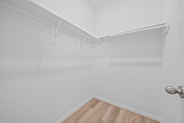 15719 Autumn Chicory Drive, Houston, TX 77044