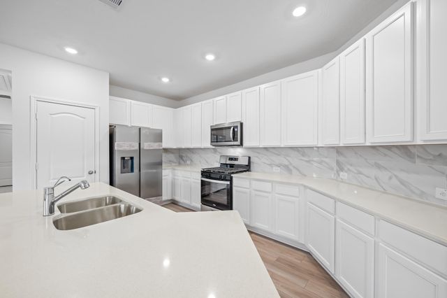 15719 Autumn Chicory Drive, Houston, TX 77044