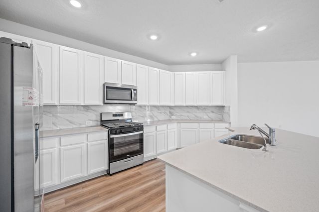 15719 Autumn Chicory Drive, Houston, TX 77044