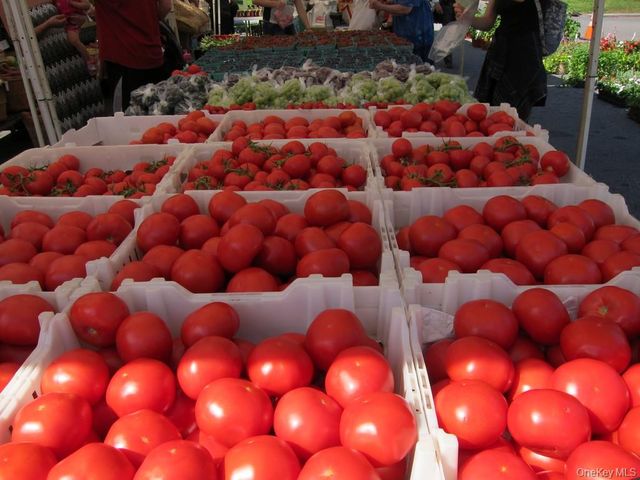 60 Pinewood Avenue 1B, Hartsdale, NY 10530