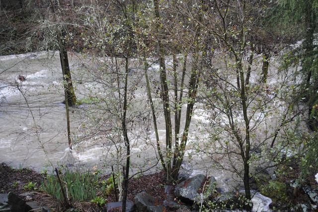 11745 Del Paso Ct, Auburn, CA 95602
