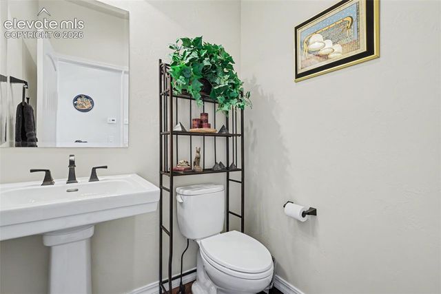 1808 La Bellezza Grove, Colorado Springs, CO 80919