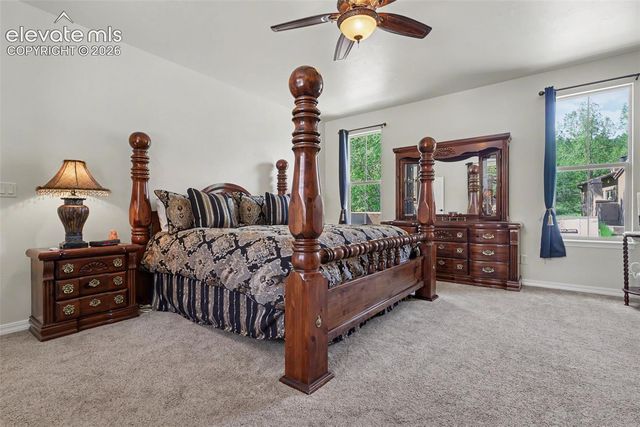 1808 La Bellezza Grove, Colorado Springs, CO 80919