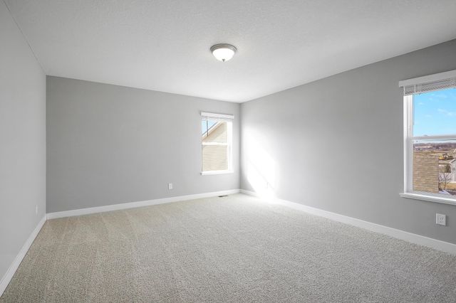 6550 Janero Bay, Cottage Grove, MN 55016