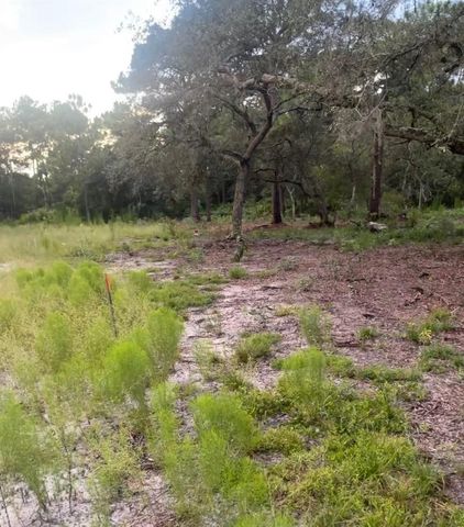 BROOKSIDE CIRCLE, Mount Dora, FL 32757