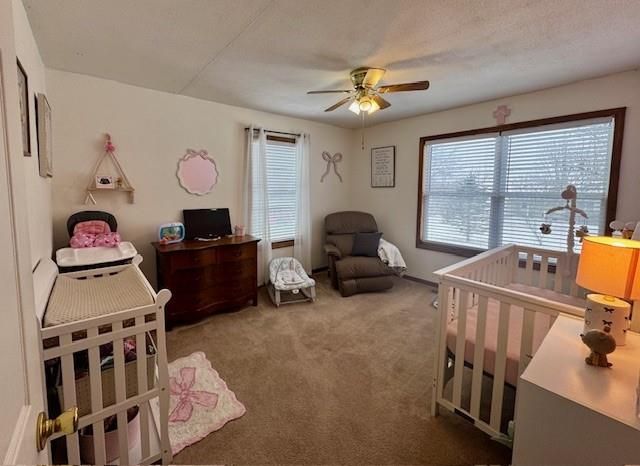 605 E Concord Drive, Plattsburg, MO 64477