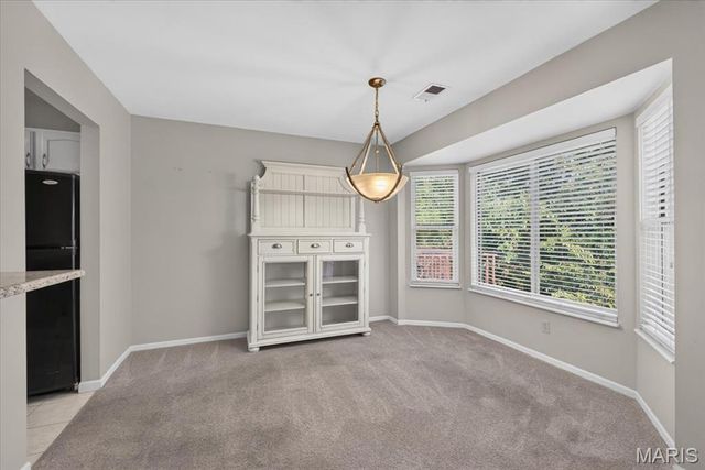 618 Pine Ridge Trails Court 203, Ballwin, MO 63021
