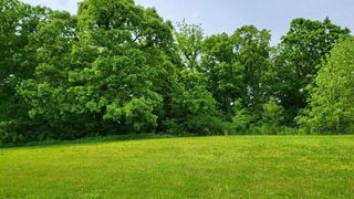Lot 19 TBD SE Holstein Drive, Oak Grove, MO 64075