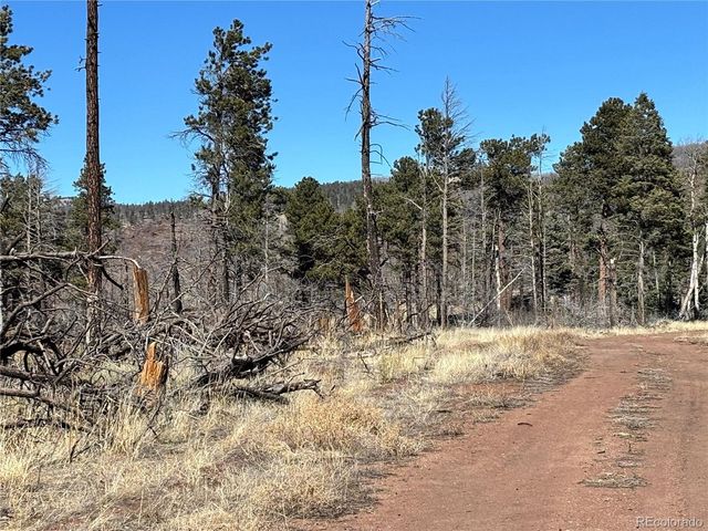 0 Marriot Circle, Fort Garland, CO 81133