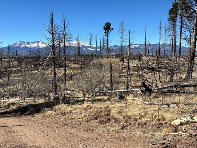0 Marriot Circle, Fort Garland, CO 81133