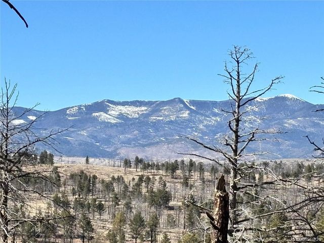 0 Marriot Circle, Fort Garland, CO 81133