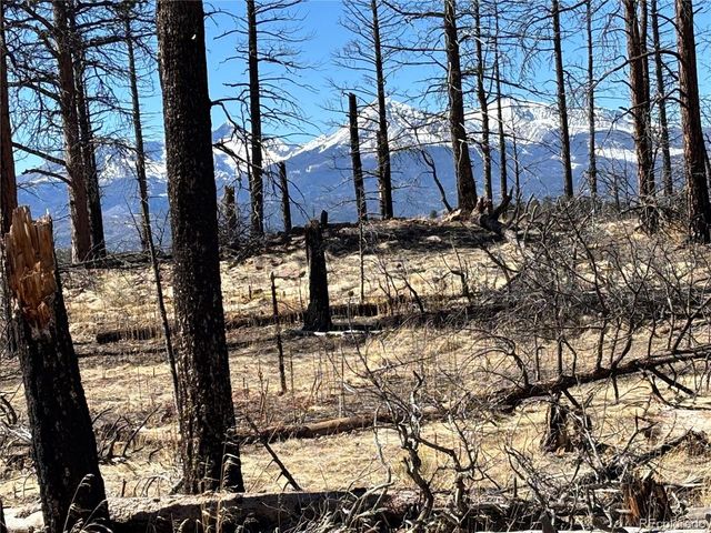 0 Marriot Circle, Fort Garland, CO 81133