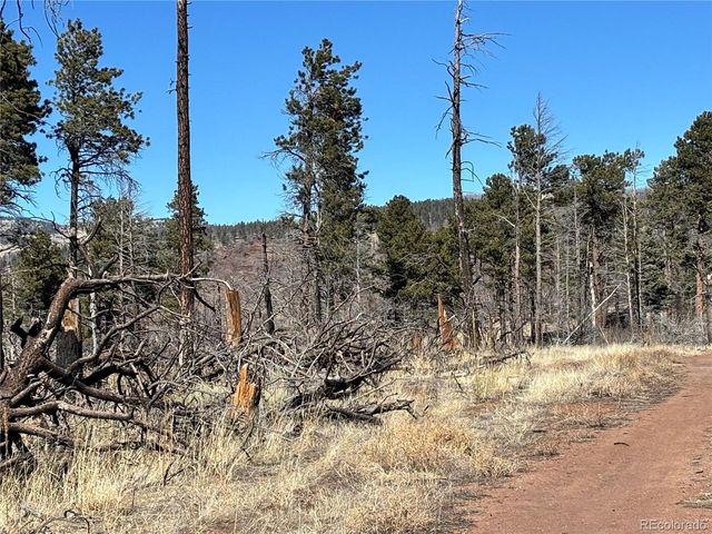 0 Marriot Circle, Fort Garland, CO 81133