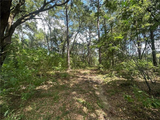 0 Creel Road, Theodore, AL 36582