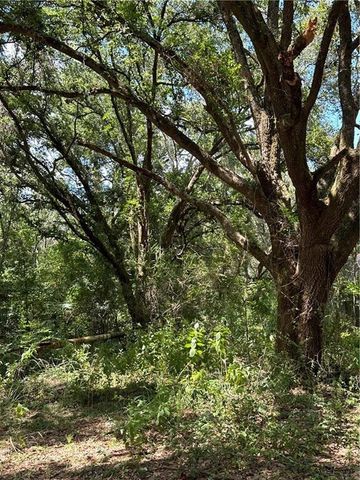 0 Creel Road, Theodore, AL 36582