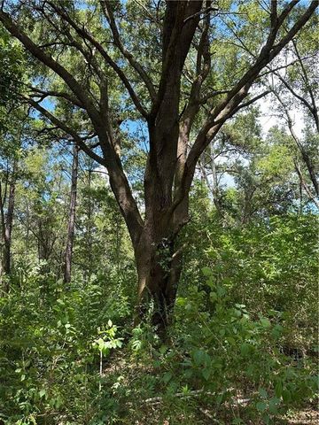 0 Creel Road, Theodore, AL 36582